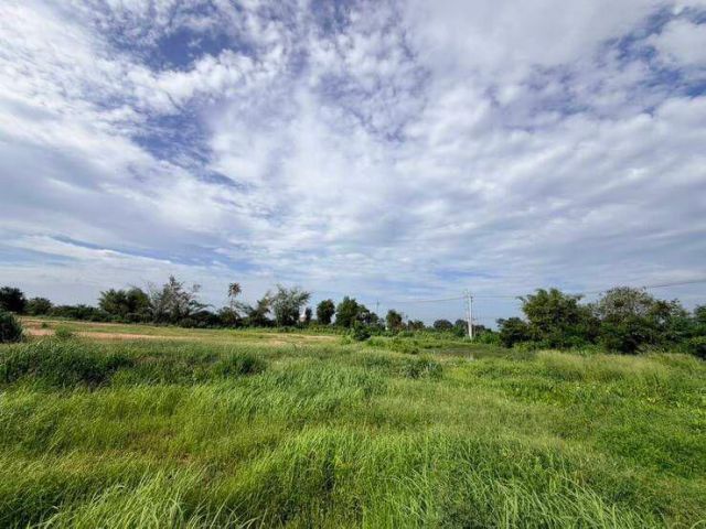 ขายที่ดิน 15 ไร่ ติดถนนใหญ่ 3138 ตรงข้าม และเยื้องๆวัดราษฎ์เรืองสุข อำเภอบ้านบึง จ.ชลบุรี