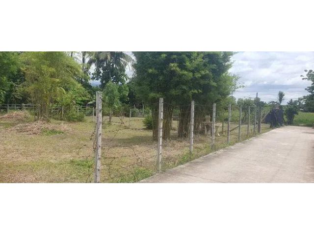 ขายที่ดินตำบลสันผักหวานหางดงติดกุลพัน 9