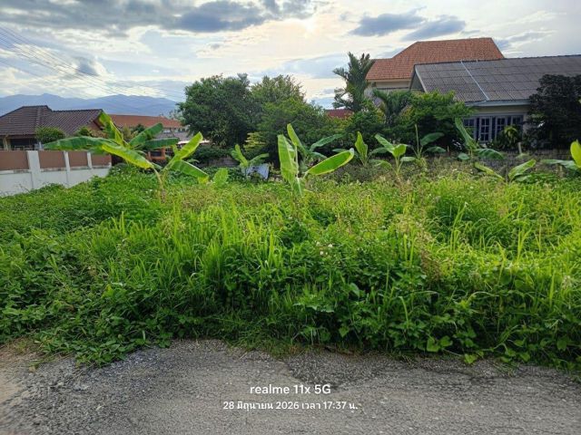 ขายที่ดินตำบลป่าตันใกล้ศาลากลางเชียงใหม่