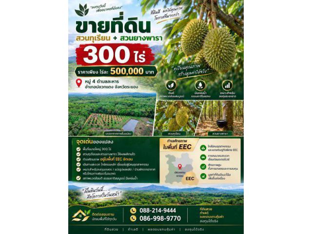 ขายที่ดินสวนทุเรียน + สวนยางพารา 300 ไร่ จ.ระยอง