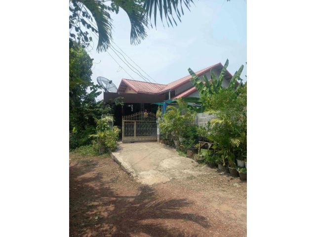 ด่วน!ขายบ้านพร้อมที่ดิน 65 ต.ร.ว บ้านยกสูง บ้านสวย 2 ห้องนอน 1ห้อง