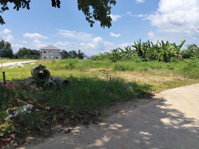 ขายที่ดินตำบลหนองจ๊อมสันทรายอยู่หลังสำนักงานที่ดินเชียงใหม่