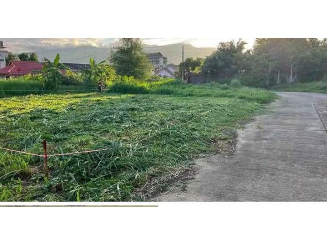 ขายที่ดินตำบลดอนแก้วแม่ริมวิวดอยติดถนนพร้อมโอน
