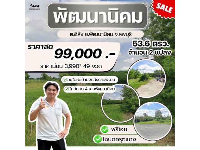 ที่ดิน ตีลัง พัฒนานิคม ลพบุรี