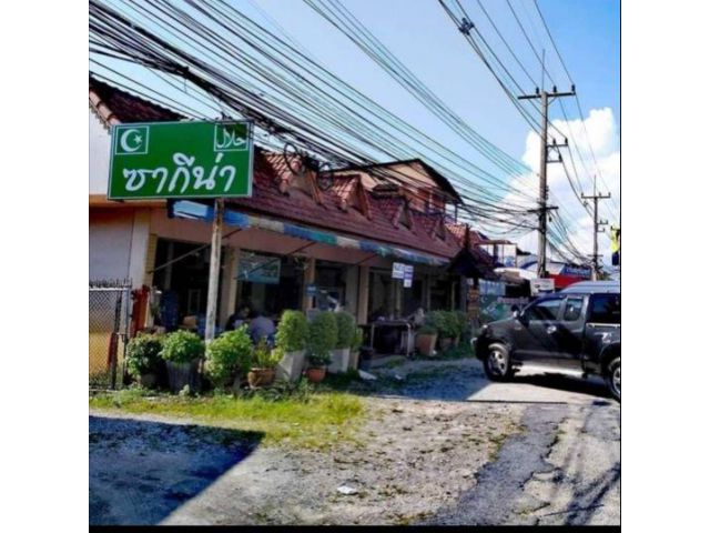 ต้องการขายที่ดิน ติดถนนใหญ่สายหลักใกล้วัดร่องเสือเต้น