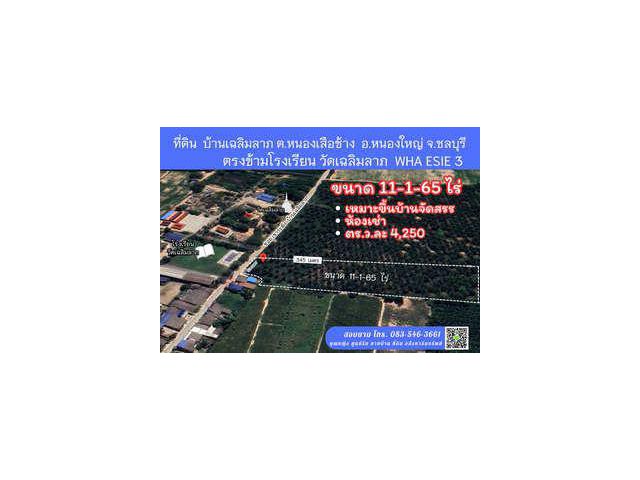 ขาย ที่ดิน 11-1-65 ไร่ หนองเสือช้าง ตรงข้ามโรงเรียน ใกล้นิคม WHA ESIE 3 ไร่ละ 1.7 ล้าน