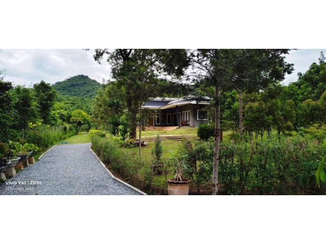 ขายที่ดินพร้อมบ้านเขาใหญ่ ปากช่อง 1.5 ไร่ หนองน้ำแดง ใกล้ถนนธนะรัชต์ มอเตอร์เวย์ M6 ห้างแม็คโคร แปลงสวย อากาศดี วิวเขาสว