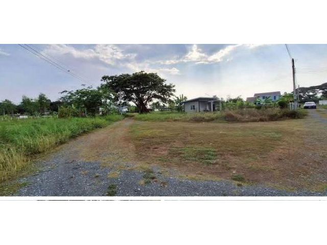 ขายที่ดินบ้านสันอุ้มดอยสะเก็ตโฉนดพร้อมโอน