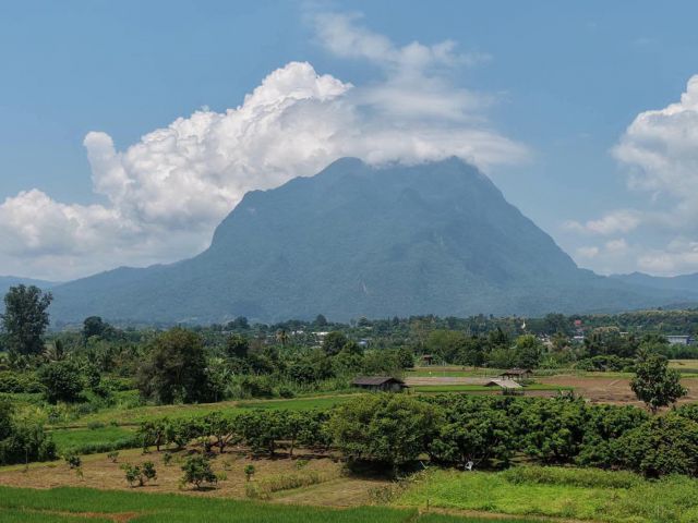 ขายที่นาวิวดอยหลวง เชียงดาวห่างที่ว่าการอำเภอ 5กม