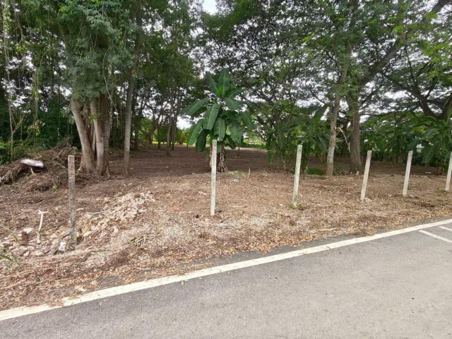 ขายที่ดินติดถนนตำบลป่าแดดห่างถนนหลัก 600เมตร