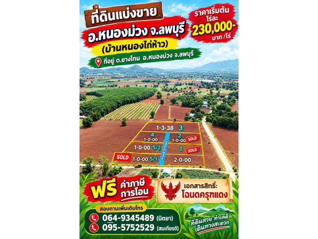 》》 ที่ดินแบ่งขาย อ.หนองม่วง จ.ลพบุรี (บ้านหนองไก่ห้าว) ต.ยางโทน อ.หนองม่วง จ.ลพบุรี ราคา230,000-