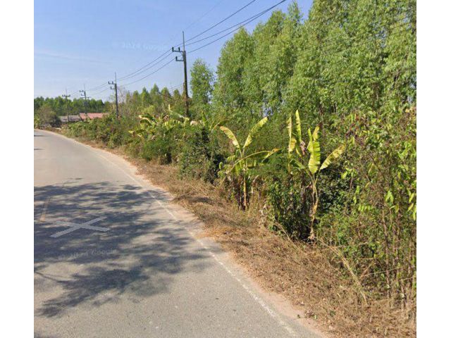 ขายที่ดินนาวังหิน 3 ไร่ ซอยโรงเรียนบ้านเนิน ใกล้ถนนเส้น331-1.5กม. อ.พนัสนิคม ชลบุรี