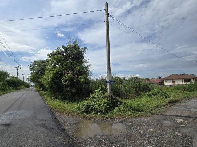 ขายที่ดินเปล่าติดถนน 2 ด้าน ลาดกระบัง ใกล้สุวรรณภูมิ พื้นที่ 1-2-