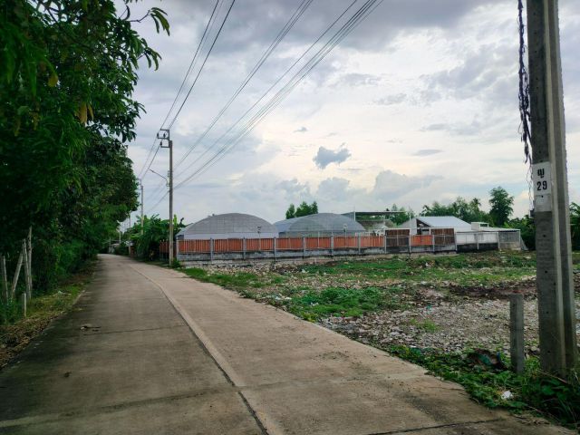 ที่ดินบางกร่างถมแล้ว 290 ตรว หรือแบ่งครึ่งได้ ต.บางกร่าง นนทบุรี ทำเลสงบ ร่มรื่น เหมาะสร้างบ้านพักอาศัย