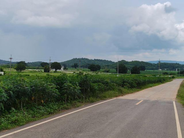 ขายที่ดินเขาใหญ่ ปากช่อง เส้น2235 หนองช้างตาย วังไทร 4 ไร่ ติดถนนลาดยางทางไป my ozone Movenpick เดินทางสะดวก วิวเขาสวย