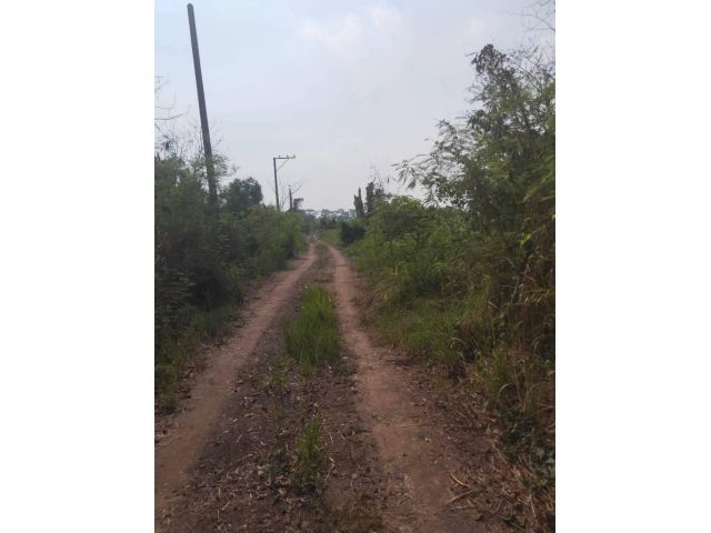 ขายที่ดินหนองจอก เนื้อที่ 2 ไร่ 0 งาน 01 ตร.ว. ใกล้สถานีตำรวจนครบาลประชาสำราญ