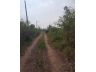 ขายที่ดินหนองจอก เนื้อที่ 2 ไร่ 0 งาน 01 ตร.ว. ใกล้สถานีตำรวจนครบาลประชาสำราญ