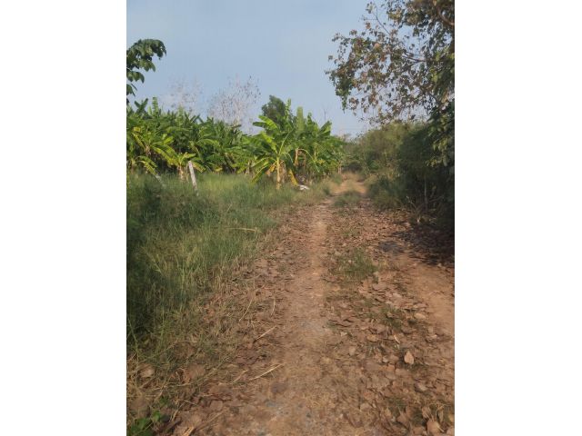 ขายที่ดินหนองจอก เนื้อที่ 2 ไร่ 0 งาน 01 ตร.ว. ใกล้สถานีตำรวจนครบาลประชาสำราญ