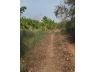 ขายที่ดินหนองจอก เนื้อที่ 2 ไร่ 0 งาน 01 ตร.ว. ใกล้สถานีตำรวจนครบาลประชาสำราญ
