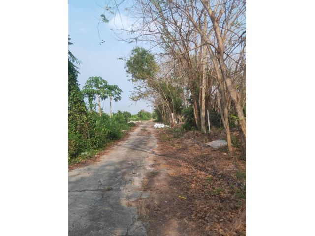ขายที่ดินหนองจอก เนื้อที่ 2 ไร่ 0 งาน 01 ตร.ว. ใกล้สถานีตำรวจนครบาลประชาสำราญ