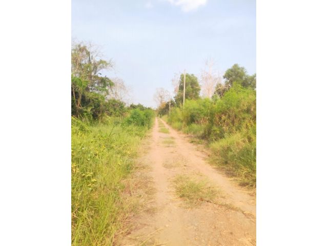 ขายที่ดินหนองจอก เนื้อที่ 2 ไร่ 0 งาน 01 ตร.ว. ใกล้สถานีตำรวจนครบาลประชาสำราญ