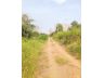 ขายที่ดินหนองจอก เนื้อที่ 2 ไร่ 0 งาน 01 ตร.ว. ใกล้สถานีตำรวจนครบาลประชาสำราญ