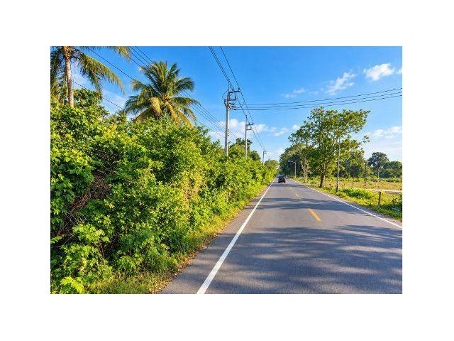 ขายที่ดิน 8 ไร่ ใกล้ทะเล ต.นาหูกวาง อ.ทับสะแก จ.ประจวบคีรีขันธ์