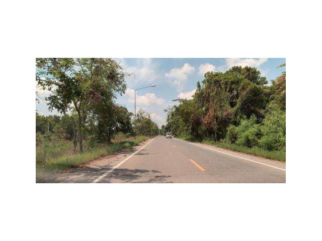 ขายที่ดิน 89 ไร่ ติดถนนเลียบคลองสิบเอ็ด อ.หนองเสือ จ.ปทุมธานี