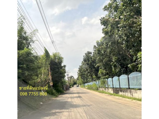 ขายที่ดินถนนติวานนท์ - ปากเกร็ด ซอย 56