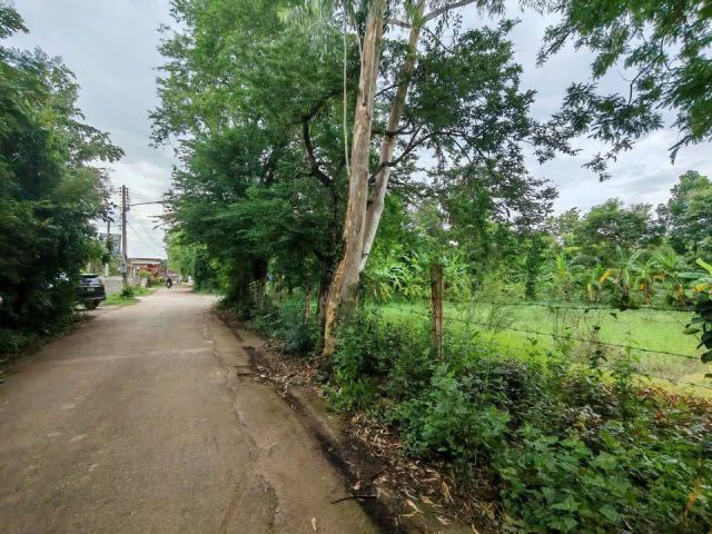 ขาย ที่ดินว่างเปล่า 365 ตร.ว อ.เมือง จ.ขอนแก่น เส้นบายพาส ถ.คอนกรีต น้ำไฟ ถึง ปากซอยเป็น SCG MAX HOME สวยมาก