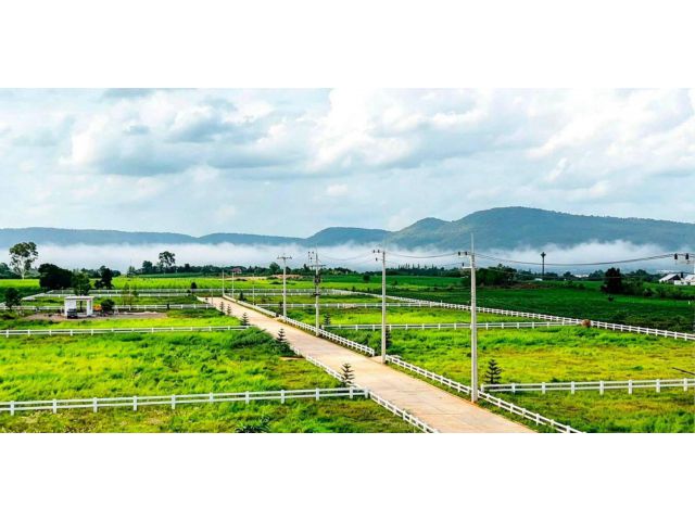 ขายที่ดินคลองม่วง เขาใหญ่ ปากช่อง 2 ไร่ วิวเขาสวยมาก น้ำไฟพร้อม เดินทางสะดวก ไม่เปลี่ยว ทางไป My ozone Movenpick ใกล้เส้