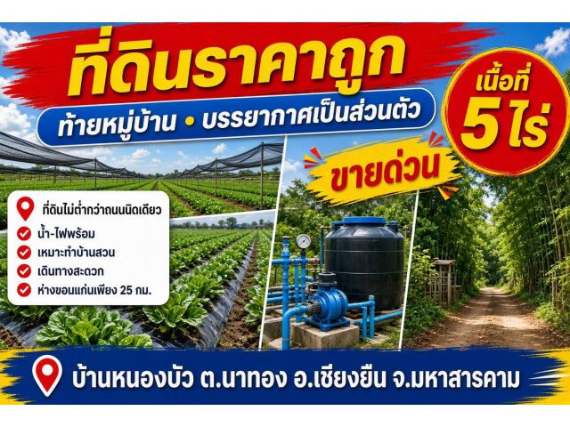 ที่ดินราคาถูกท้ายหมู่บ้าน บรรยากาศ เป็นส่วนตัว ที่ต่ำกว่าถนนนิดเดียว น้ำ-ไฟพร้อม เหมาะทำบ้านสวน เดินทางสะดวก ห่างตัวเมือ