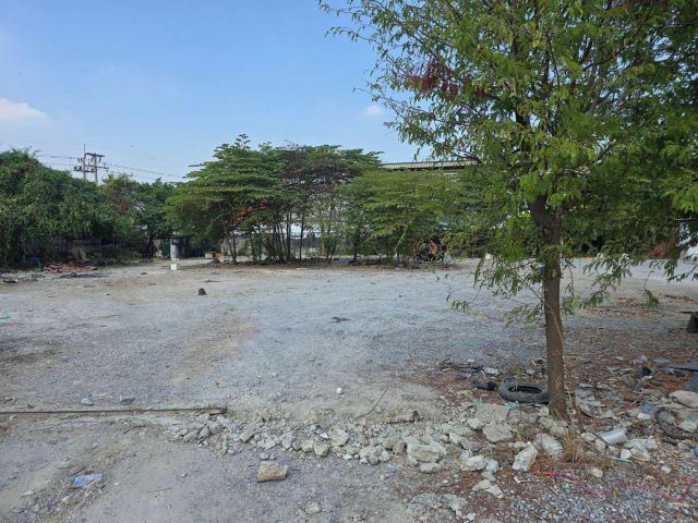 CP82แบ่งที่ดินให้เช่าแปลงสวยสี่เหลี่ยมผืนผ้าขนาด 274 ตรว ซอยกระทุ่มล้ม 19 ห่างจากถนนพุทธมณฑลสาย 4 เพียง 800 เมตร