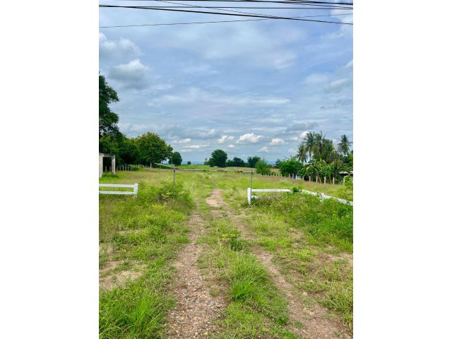 ขายที่ดินโฉนด ติดถนนใหญ่หมายเลข 21 สระบุรี–หล่มสัก 300 ไร่ ใกล้ตลาดลำนารายณ์ อ.ชัยบาดาล จ.ลพบุรี