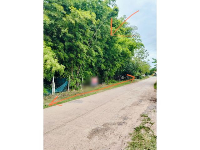 ขายที่ด่วน!! จ.หนองบัวลำภู ใกล้ศูนย์ราชการ โรงพยาบาล โรงเรียน
