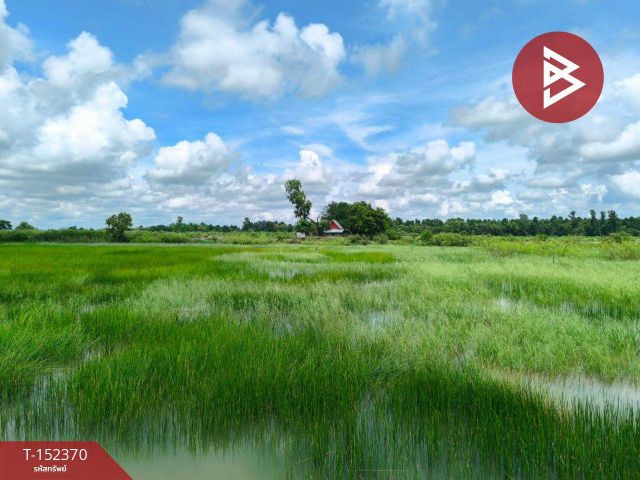 ขายที่ดิน เนื้อที่ 39 ไร่ 3 งาน 55 ตร.วา องครักษ์ นครนายก