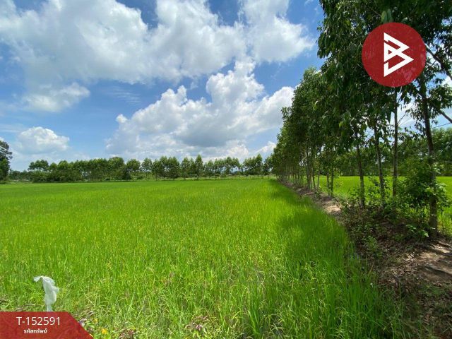 ขายที่ดิน เนื้อที่ 2 งาน 1.5 ตร.วา พนัสนิคม ชลบุรี