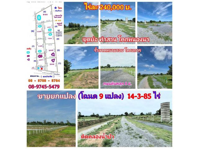 (โฉนด 9 แปลง) 14-3-85 ไร่ๆละ 240,000 บ. ติดคลองน้ำป่า (บ่อน้ำ ถมดิน โคกหนองนา) รั้วลวดหนาม ถนนหินคลุก กว้าง 8 ม. ต.สระกระโจม อ.ดอนเจดีย์ จ.สุพรรณบุรี