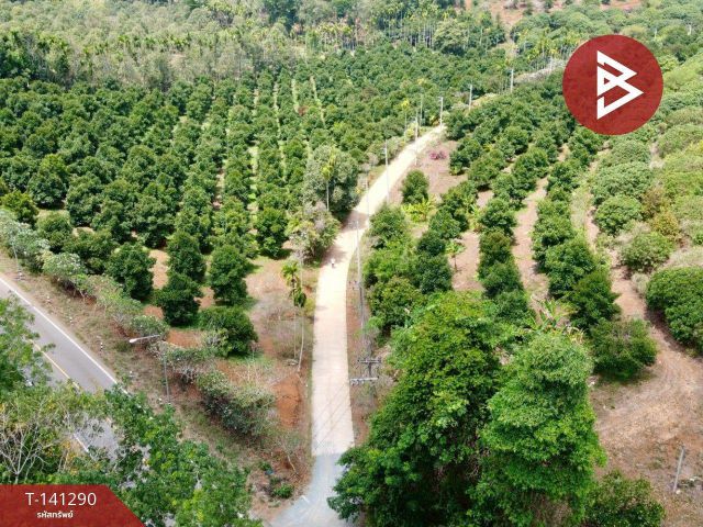 ขายที่ดิน เนื้อที่ 98 ไร่ 2 งาน 62.3 ตร.วา สวนลไม้ผสม ตกพรม เมือง จันทบุรี