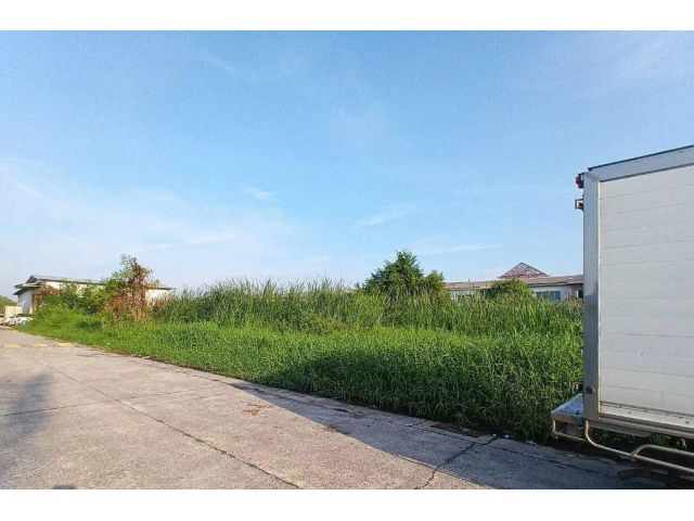 ที่ดิน 2 ไร่ ซอยไสวประชาราษฎร์ 19 ตำบลลาดสวาย อำเภอลำลูกกา จังหวัดปทุมธานี