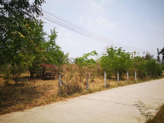 ขายที่ดินบ้านคลองตะแบก สีคิ้ว 267ตรว. เหมาะปลูกบ้าน