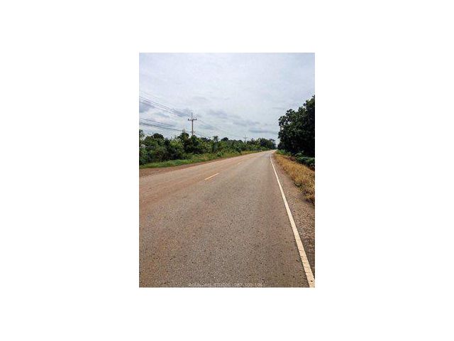 ขายที่ดิน 830 ไร่ ต.บ่อทอง อ.หนองม่วง จ.ลพบุรี