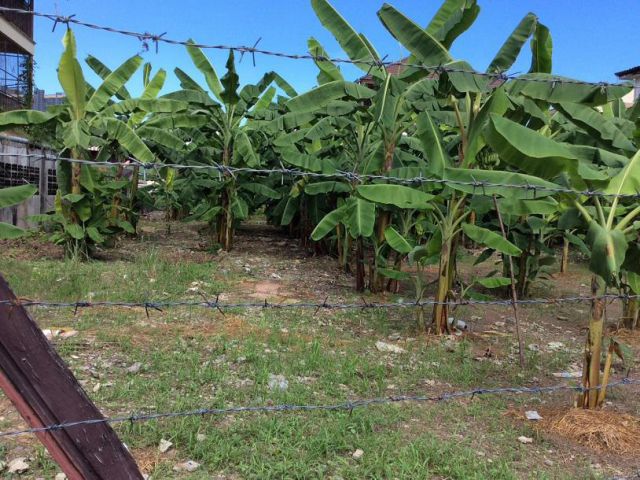 ขายที่ดิน 302 ตรว. ซอยประชาอุทิศ (ซอยนนทบุรี 8 ) ถนนรัตนาธิเบศร์ ใกล้ MRTสถานีแยกนนทบุรี1 ใกล้สะพานพระนั่งเกล้า
