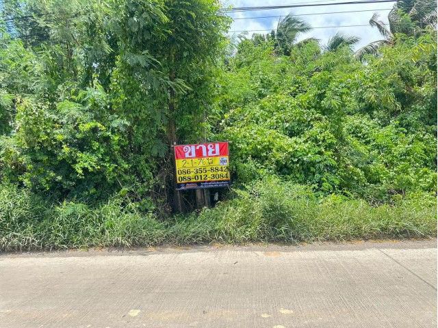 ขายที่ดิน-2-1-76-ไร่-ซอยวัดคู้เกษมสโมสร-ถนนตลาดปองพล-คลองอุดมชลจร