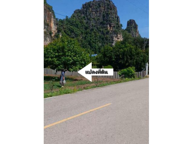 ที่ดินติดถนนแลนด์มาร์คบ้านมุง
