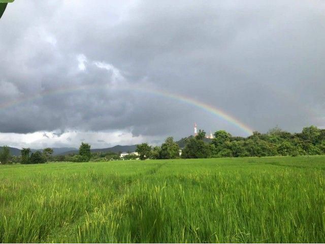ขายที่ดินแปลงสวยผืนใหญ่ 26-3-47 ไร่ ต.ดอยเต่า อ.ดอยเต่า จ.เชียงให