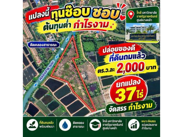 ขายที่ดินเมืองแปดริ้ว ถมแล้ว 37 ไร่ หน้าติดถนน-หลังติดคลอง ทำเลทองศูนย์บางคล้า ฉะเชิงเทรา