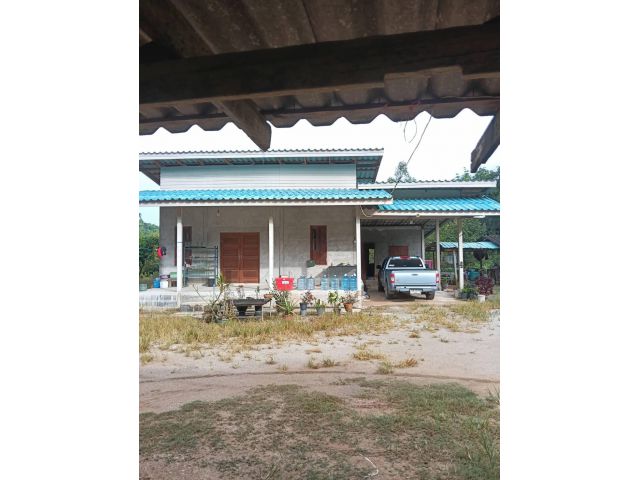 ขายบ้านสวน3ไร่2งาน95ตรว อยู่เขาวังม่าน นาตาขวัญ เมือง ระยอง
