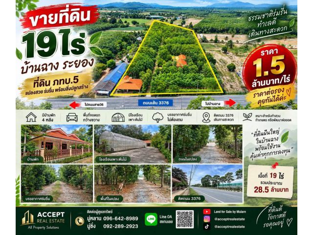 ขายที่ดิน19 ไร่ ติดถนน 3376 บ้านฉาง ระยอง