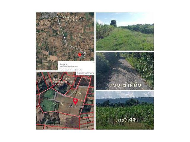 ขายที่ดิน 55-2-61 ไร่ ต.ชนวน อ.หนองนาคำ ขอนแก่น ไร่ละ 6 หมื่น